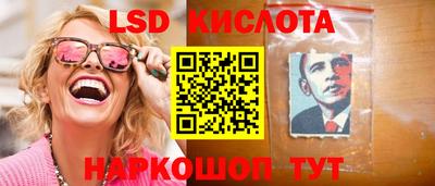 гидра Камышлов