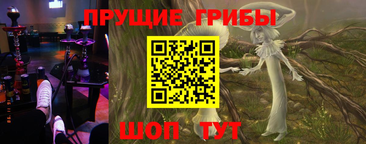 Псилоцибиновые грибы мухоморы Магадан