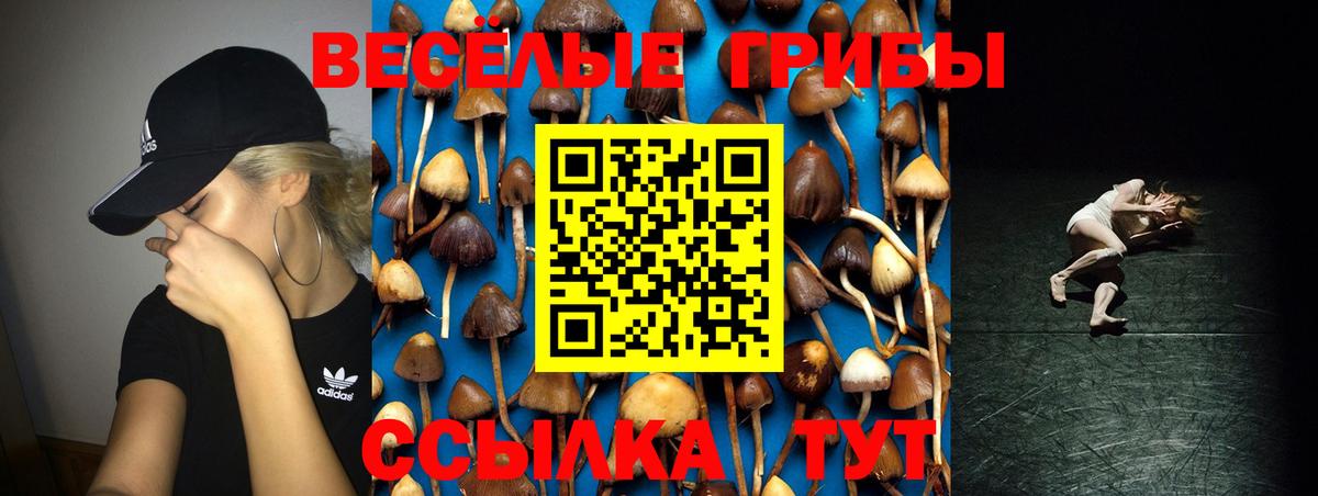 Магадан  Галлюциногенные грибы Magic Shrooms  Вход с VPN 